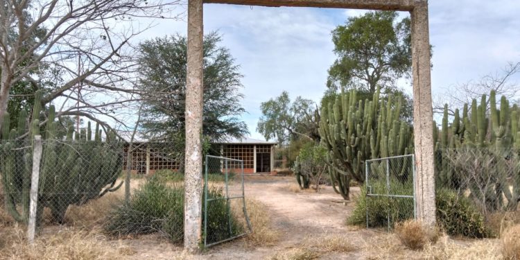 Parque Médanos del Chaco: ¿Protegido en el papel, abandonado en la realidad?