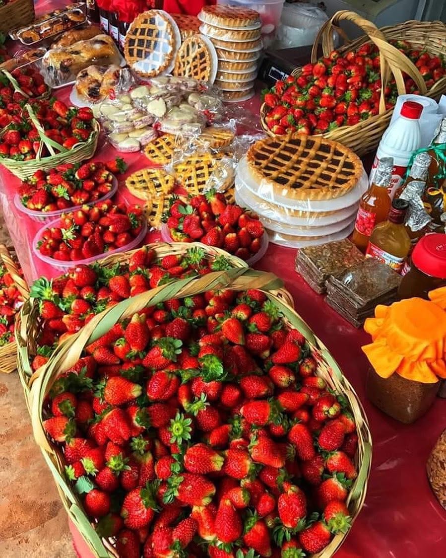 Arrancó la tradicional Expo Frutilla en Areguá: 84 familias exponen en el centro y apuestan al turismo