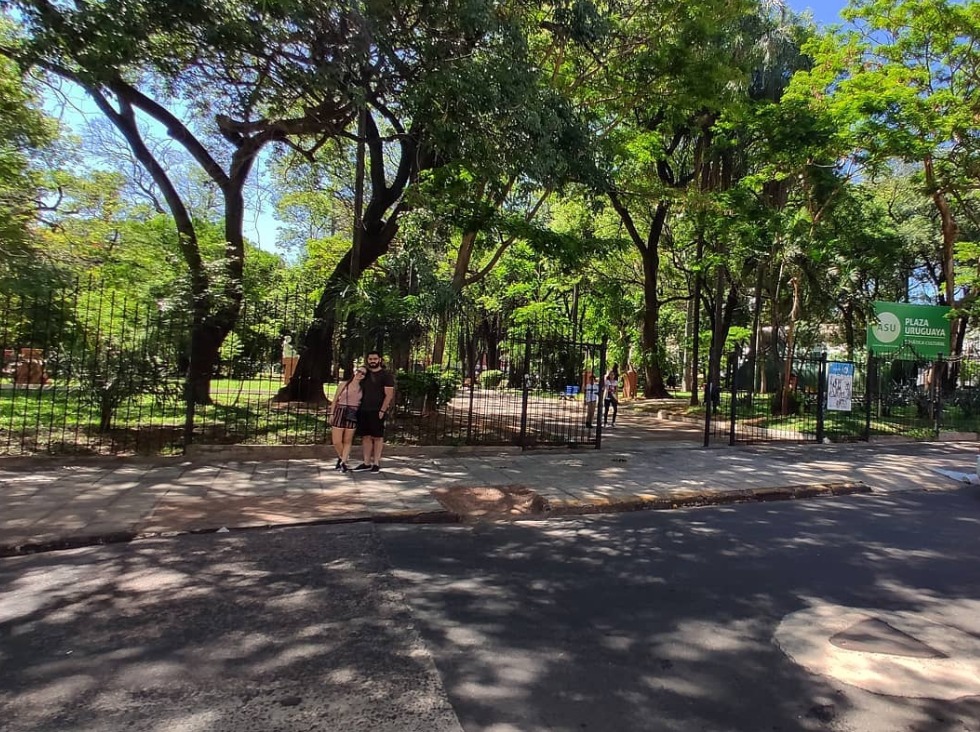 Municipalidad autoriza la remoción de 22 árboles en Plaza Uruguaya por riesgo de caída