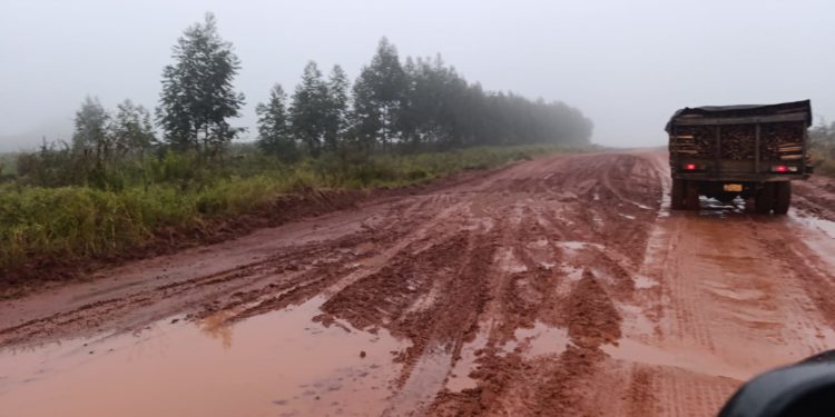 Abandono de obra vial agrava el aislamiento en Colonia Volendam tras las lluvias Abandono de obra vial agrava el aislamiento en Colonia Volendam tras las lluvias