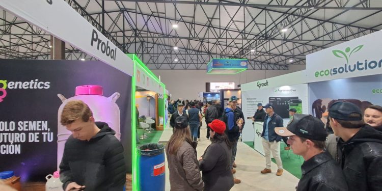 Cooprolanda 2026: El optimismo y la alta convocatoria vencen a las inclemencias del tiempo Cooprolanda 2026: El optimismo y la alta convocatoria vencen a las inclemencias del tiempo