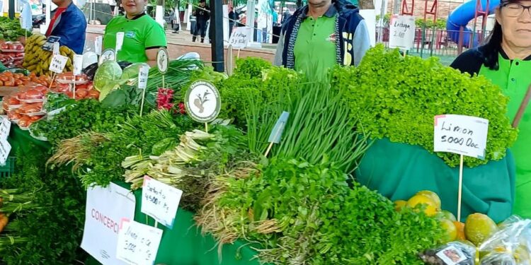 MAG realiza Feria de la Agricultura Familiar con ofertas especiales por el Día de la Amistad