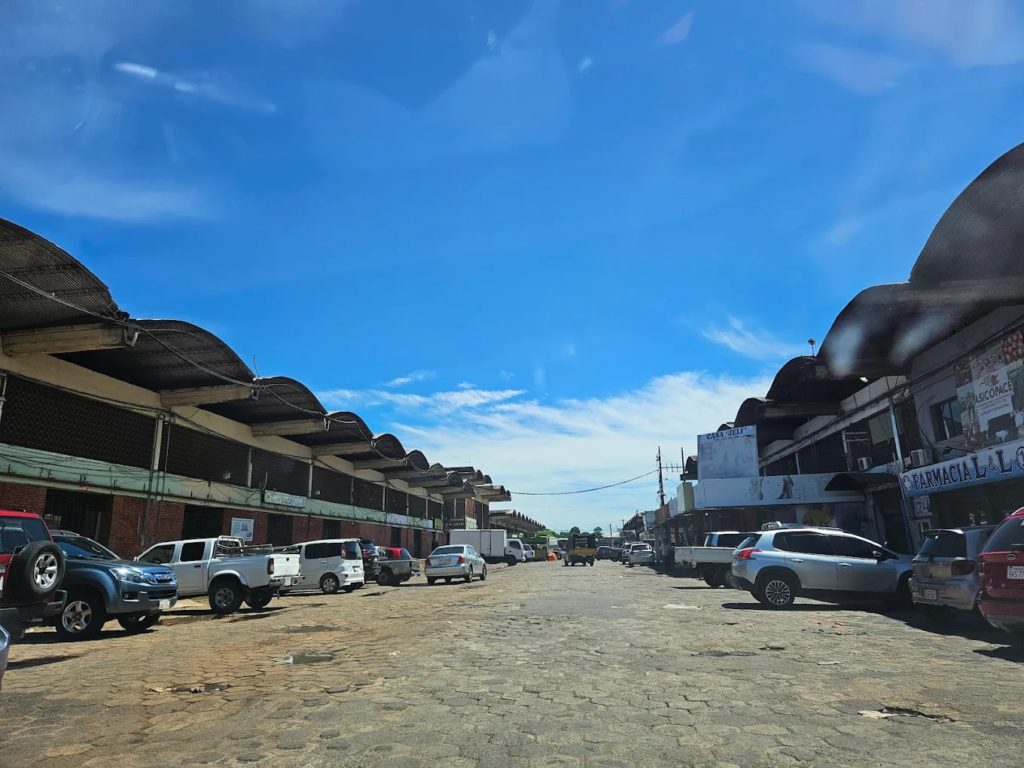 Desde el Mercado de Abasto desmienten baja de precios y denuncian trabas a la importación Desde el Mercado de Abasto desmienten baja de precios y denuncian trabas a la importación