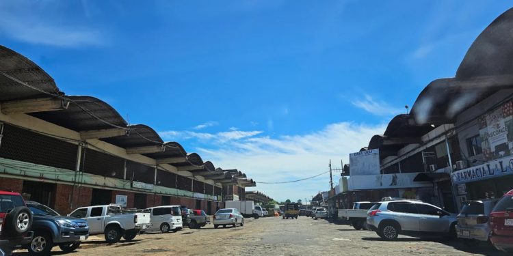 Desde el Mercado de Abasto desmienten baja de precios y denuncian trabas a la importación Desde el Mercado de Abasto desmienten baja de precios y denuncian trabas a la importación