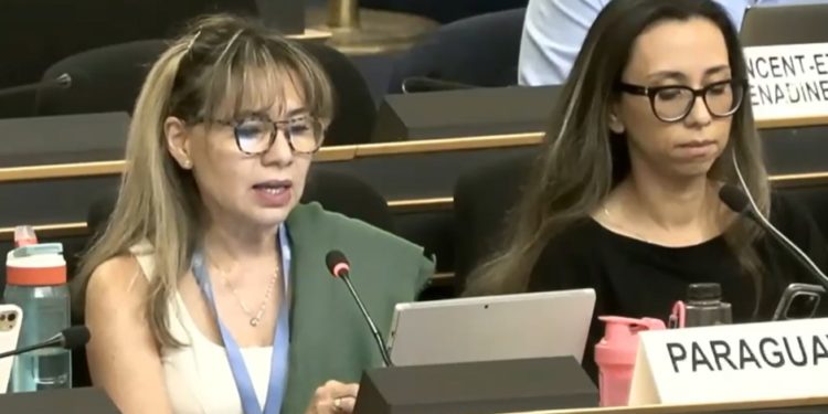 Paraguay reafirma en la ONU que género» se interpreta conforme a la Constitución y ratifica defensa de la vida desde la concepción