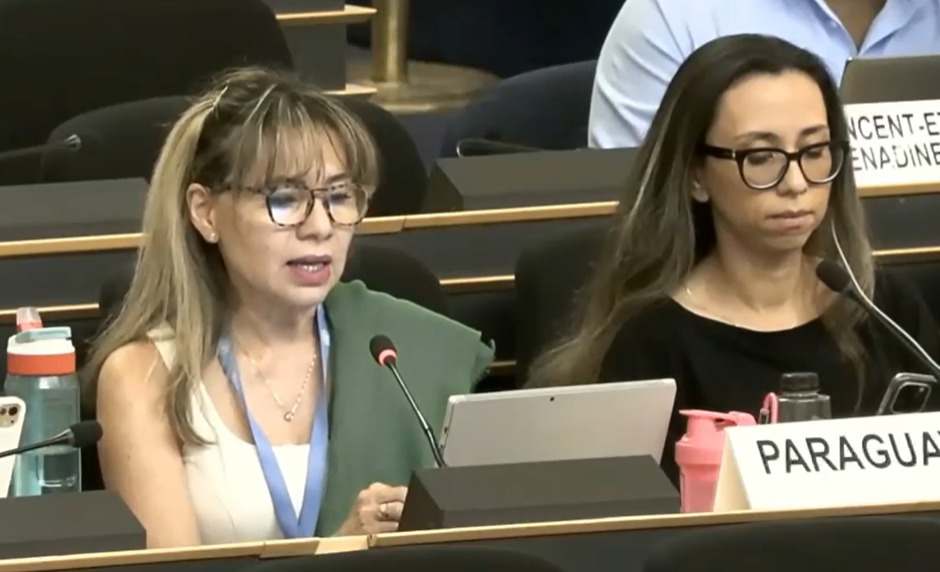 Paraguay reafirma en la ONU que género» se interpreta conforme a la Constitución y ratifica defensa de la vida desde la concepción Paraguay reafirma en la ONU que género» se interpreta conforme a la Constitución y ratifica defensa de la vida desde la concepción
