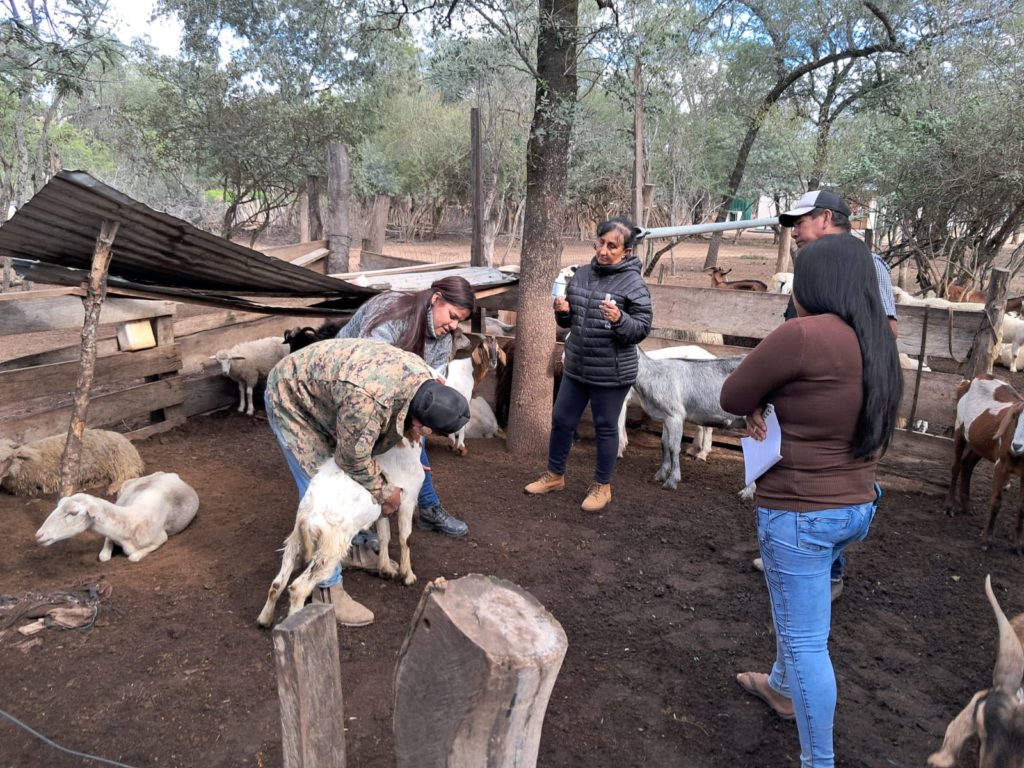 Capacitan a productores de Pozo Hondo para potenciar la producción ganadera junto a la ruta PY15 Capacitan a productores de Pozo Hondo para potenciar la producción ganadera junto a la ruta PY15