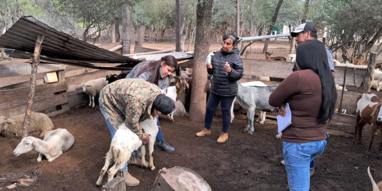 Capacitan a productores de Pozo Hondo para potenciar la producción ganadera junto a la ruta PY15 Capacitan a productores de Pozo Hondo para potenciar la producción ganadera junto a la ruta PY15