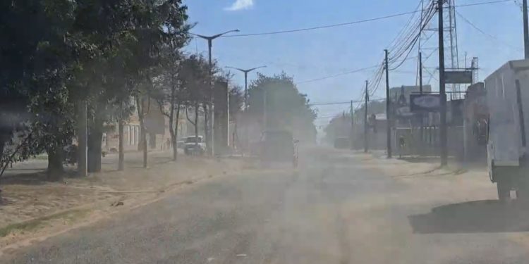 El temido «viento norte» azota al Chaco Central: advierten sobre riesgo de incendios y estrés ganadero El temido «viento norte» azota al Chaco Central: advierten sobre riesgo de incendios y estrés ganadero