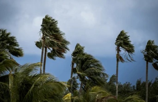 Vientos del norte seguirán intensos y Meteorología alerta por riesgos para la salud e infraestructura Vientos del norte seguirán intensos y Meteorología alerta por riesgos para la salud e infraestructura