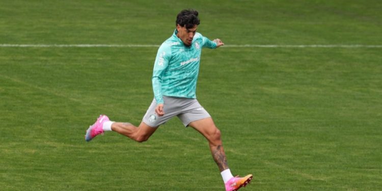 Reintegración albirroja en São Paulo: Las figuras paraguayas del Palmeiras retornan a las prácticas tras la experiencia mundialista Reintegración albirroja en São Paulo: Las figuras paraguayas del Palmeiras retornan a las prácticas tras la experiencia mundialista