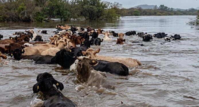 Alerta en la región: «El Niño» ya comenzó