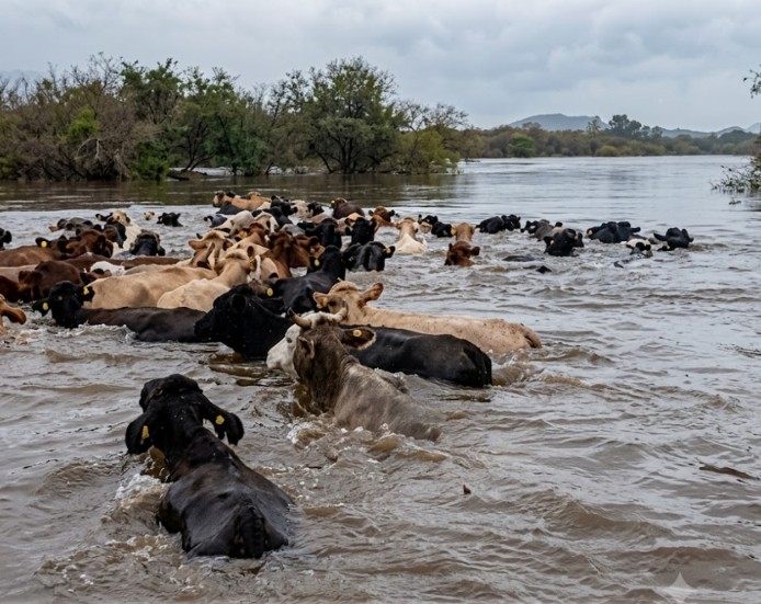 Alerta en la región: «El Niño» ya comenzó Alerta en la región: «El Niño» ya comenzó