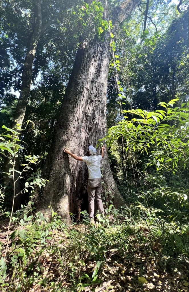 A Todo Pulmón Paraguay amplía el plazo de postulación para Colosos de la Tierra A Todo Pulmón Paraguay amplía el plazo de postulación para Colosos de la Tierra