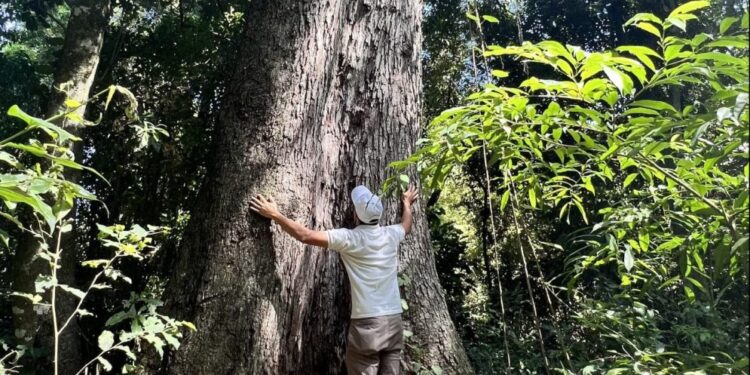 A Todo Pulmón Paraguay amplía el plazo de postulación para Colosos de la Tierra A Todo Pulmón Paraguay amplía el plazo de postulación para Colosos de la Tierra