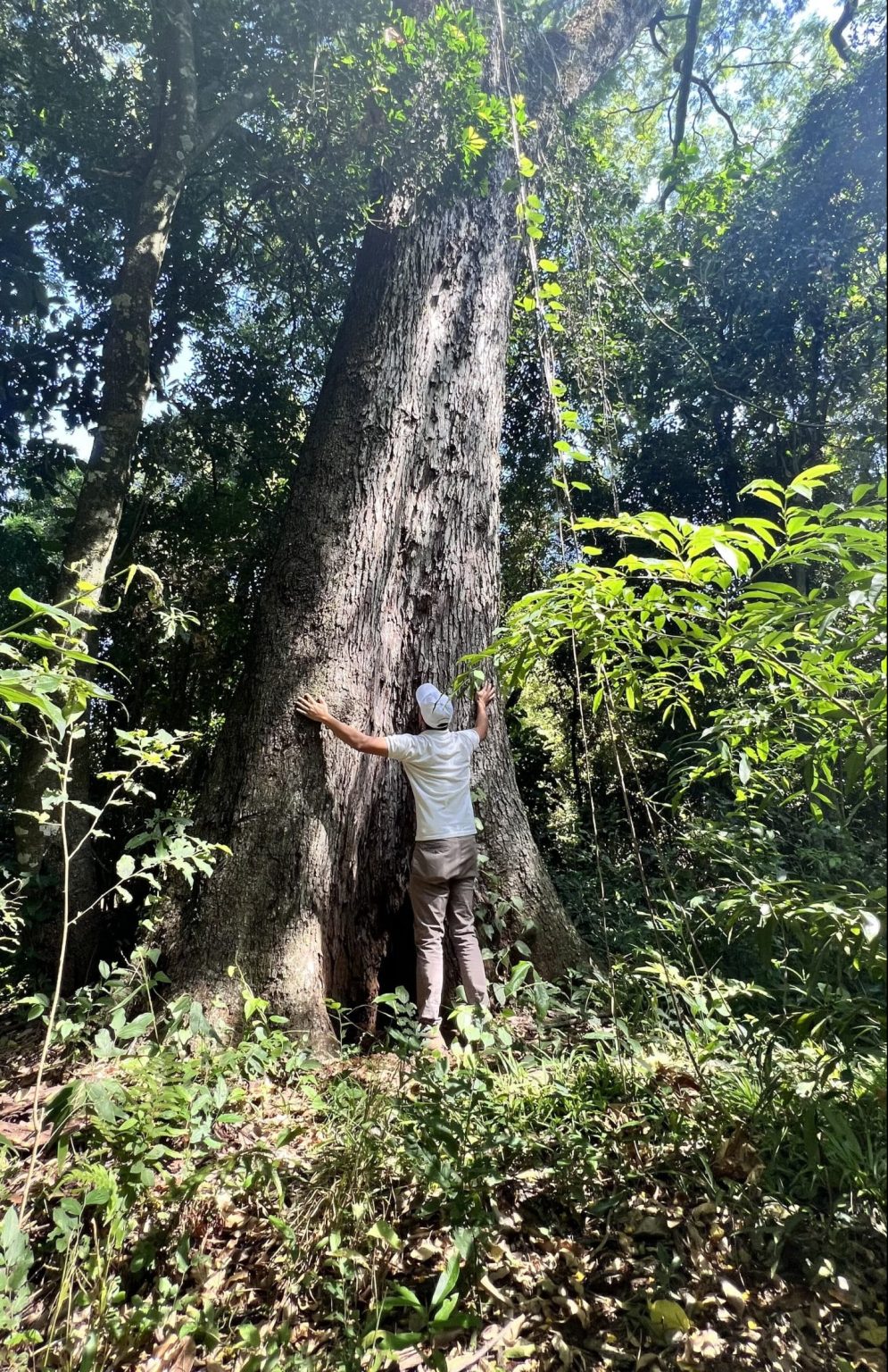 A Todo Pulmón Paraguay amplía el plazo de postulación para Colosos de la Tierra