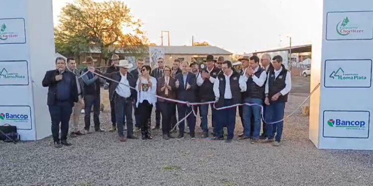 Expo Rodeo Trébol celebra 50 ediciones como símbolo del desarrollo y la integración del Chaco Expo Rodeo Trébol celebra 50 ediciones como símbolo del desarrollo y la integración del Chaco