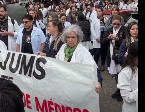 Senado convocará a la ministra de Salud por huelga de médicos Senado convocará a la ministra de Salud por huelga de médicos