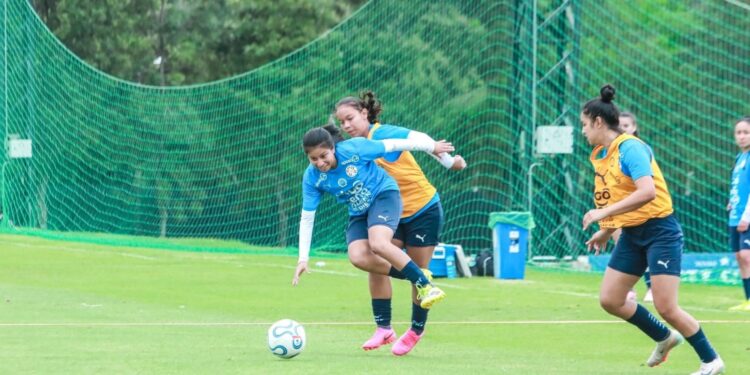 La Albirroja Femenina Sub 15 puso en marcha una nueva semana de trabajos enfocada en sus próximos desafíos La Albirroja Femenina Sub 15 puso en marcha una nueva semana de trabajos enfocada en sus próximos desafíos