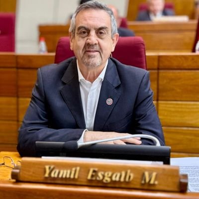 Diputado Esgaib defiende proyecto que crea registro de cámaras de seguridad privadas y aclara sus alcances