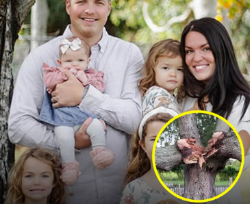 Un árbol cayó a centímetros de su casa y lo tomó como un milagro de protección Un árbol cayó a centímetros de su casa y lo tomó como un milagro de protección