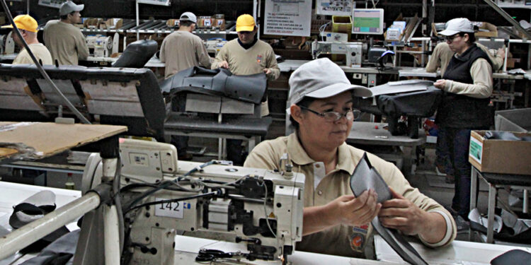 EAS movilizan USD 384 millones y lideran la creación de empresas en Paraguay EAS movilizan USD 384 millones y lideran la creación de empresas en Paraguay