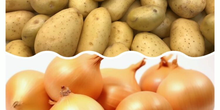 Productores instan a equilibrar importaciones ante inminente inicio de la cosecha nacional Productores instan a equilibrar importaciones ante inminente inicio de la cosecha nacional