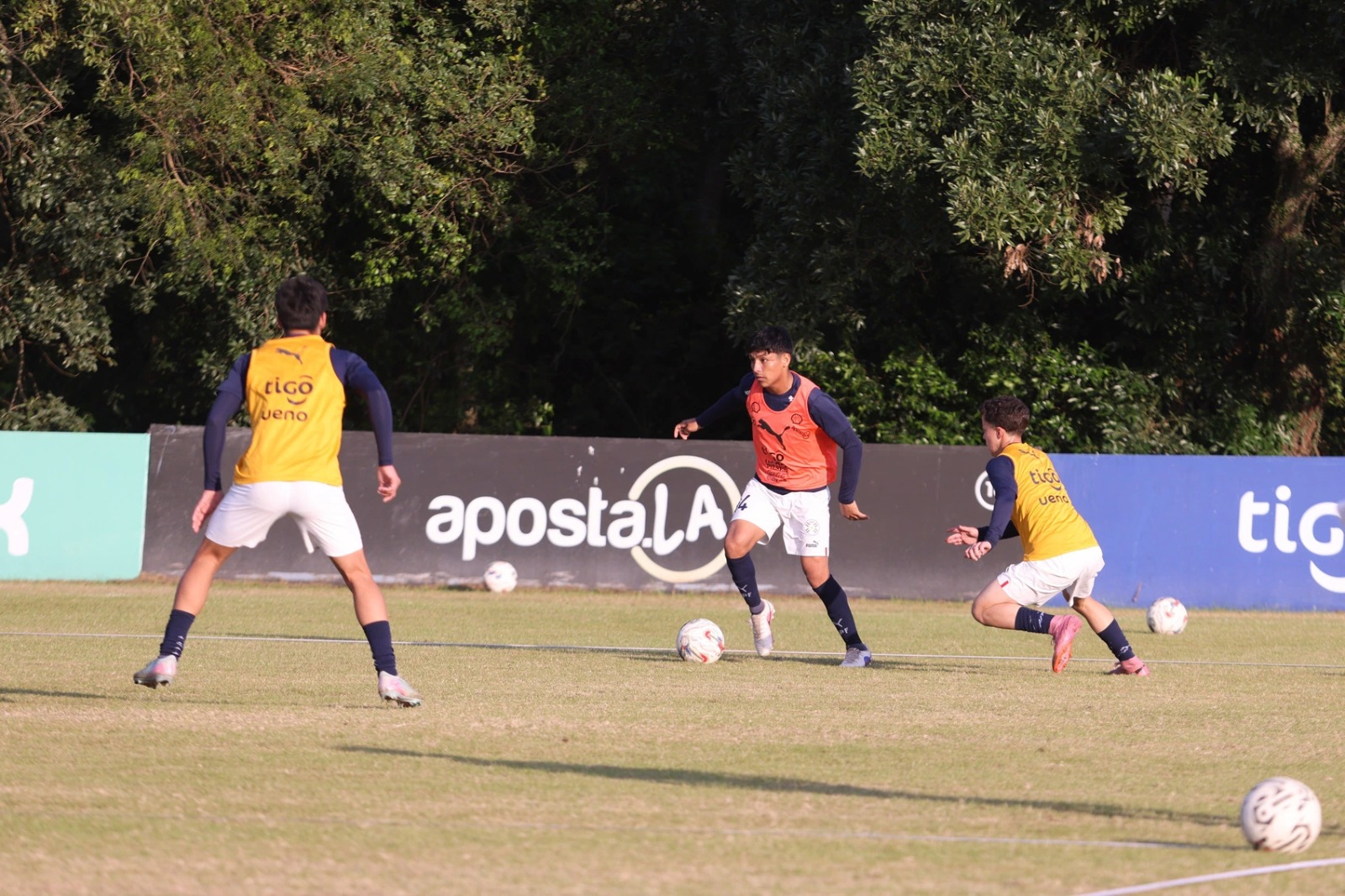 La Selección Paraguaya Sub 15 afronta su primer ensayo amistoso frente a Ecuador en Ypané La Selección Paraguaya Sub 15 afronta su primer ensayo amistoso frente a Ecuador en Ypané