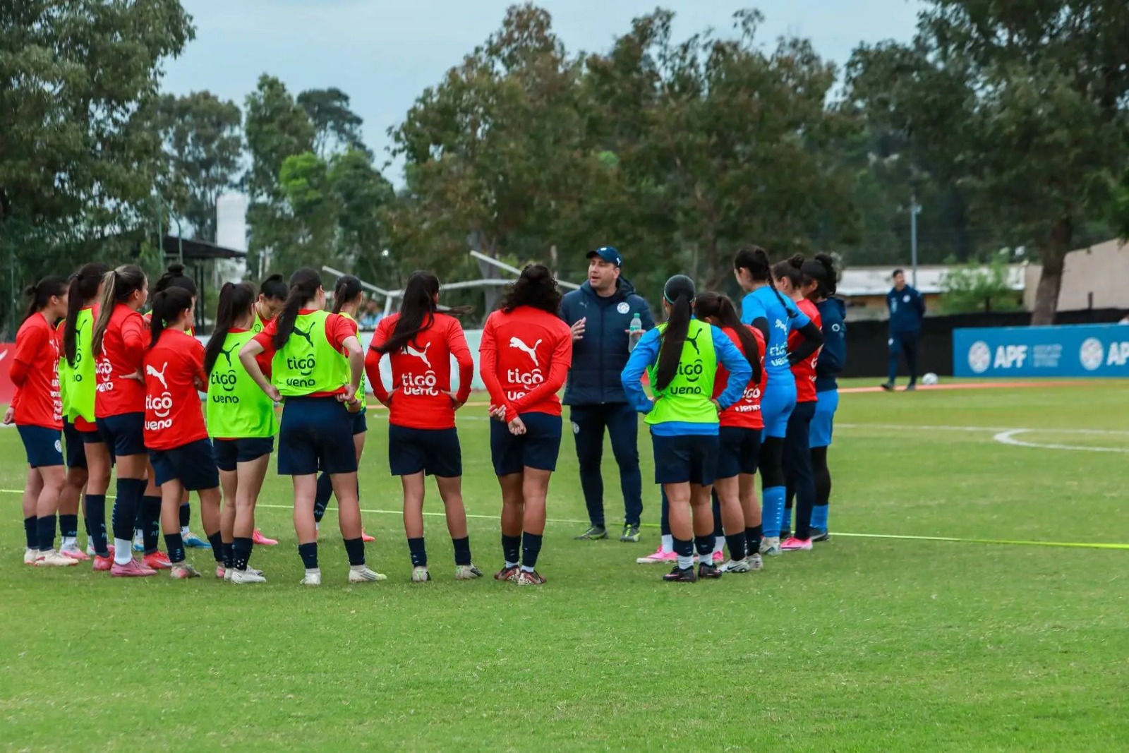 ¡Sorpresas y ausencias de peso! La nómina de la Albirroja Femenina para la doble fecha FIFA ante El Salvador ¡Sorpresas y ausencias de peso! La nómina de la Albirroja Femenina para la doble fecha FIFA ante El Salvador