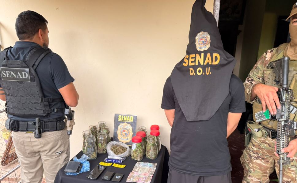 Preocupante: aumentan las incautaciones de diversas variedades de MARIHUANA PREMIUM en el área metropolitana