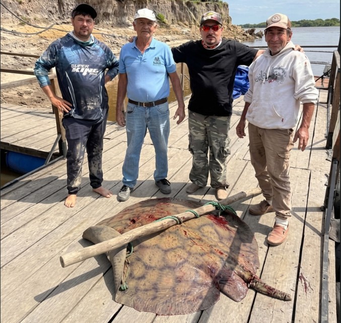 Inolvidable jornada de pesca: capturaron una raya de 90 kilos