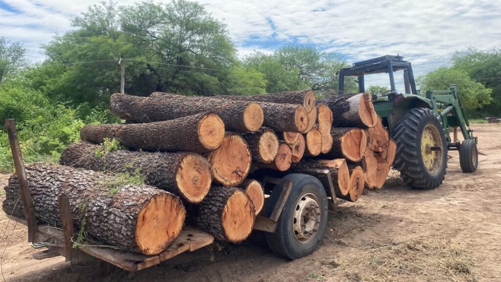 Hallan tractor abandonado con 21 rollos de madera nativa en Boquerón