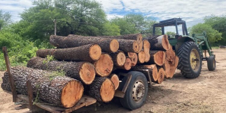 Hallan tractor abandonado con 21 rollos de madera nativa en Boquerón