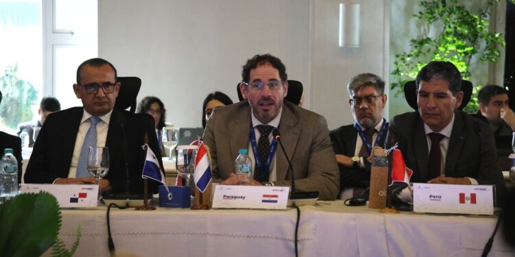 Paraguay busca aprovechar la integración energética regional para impulsar nuevas inversiones y tecnologías Paraguay busca aprovechar la integración energética regional para impulsar nuevas inversiones y tecnologías