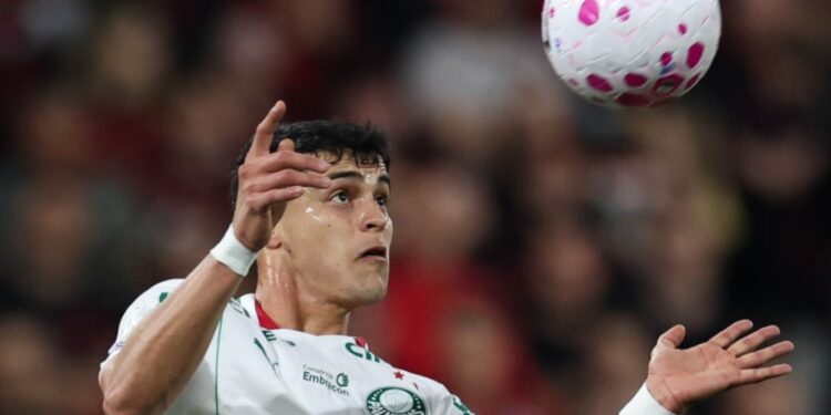 Noche decisiva en São Paulo: Palmeiras saca a relucir su hegemonía para eliminar a Fluminense e ir por el trono continental en la Libertadores 2026 Noche decisiva en São Paulo: Palmeiras saca a relucir su hegemonía para eliminar a Fluminense e ir por el trono continental en la Libertadores 2026