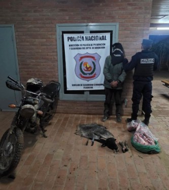 Abigeato en Filadelfia: un sospechoso fue detenido en la vía pública