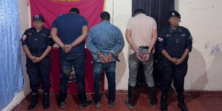 Abigeato en Alto Paraguay: 3 hombres fueron aprehendidos en zona de Bahía Negra Abigeato en Alto Paraguay: 3 hombres fueron aprehendidos en zona de Bahía Negra