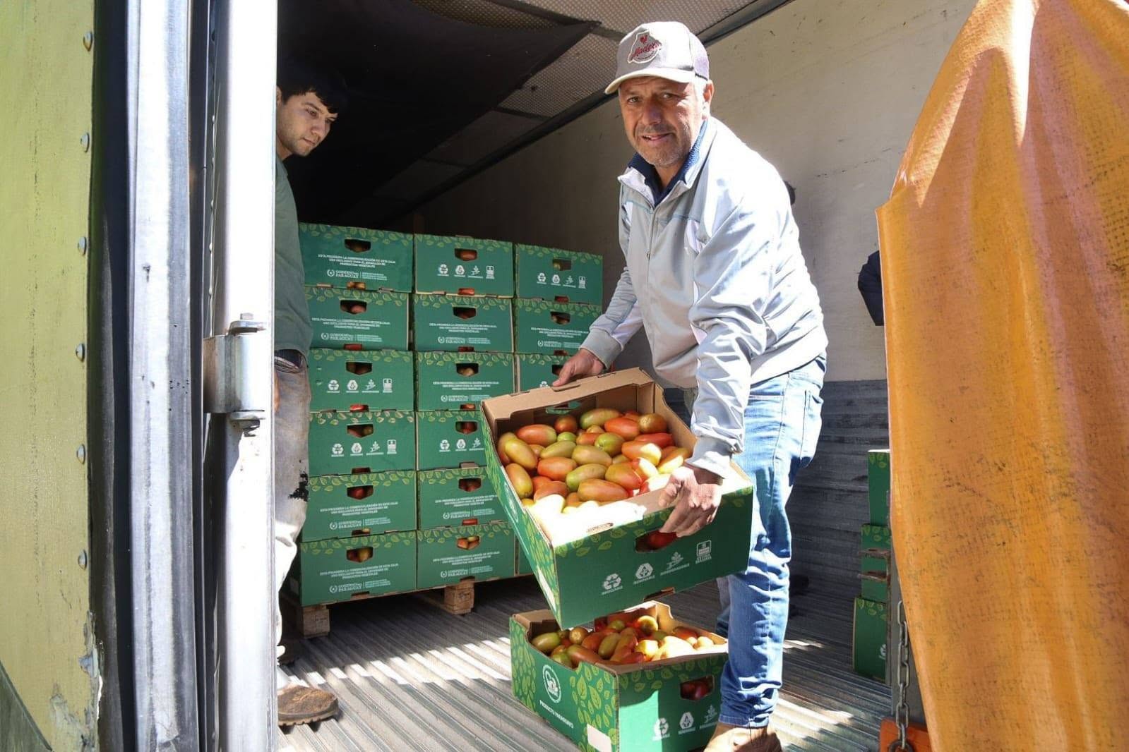 Inédita operación: por primera vez, tomates paraguayos fueron exportados a Uruguay Inédita operación: por primera vez, tomates paraguayos fueron exportados a Uruguay