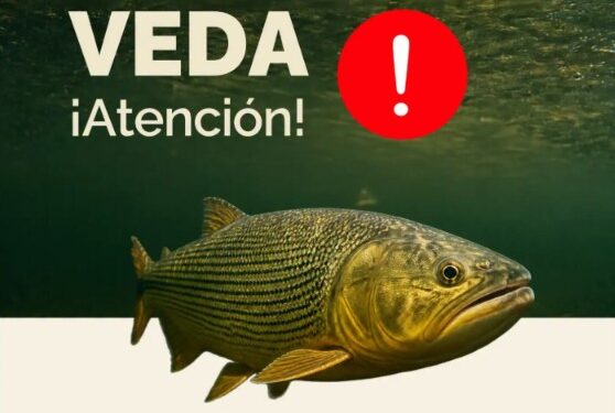 La veda pesquera comenzará el próximo lunes 2 de noviembre La veda pesquera comenzará el próximo lunes 2 de noviembre