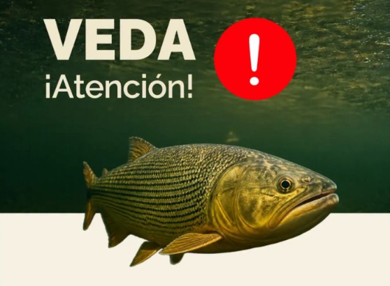 La veda pesquera comenzará el próximo lunes 2 de noviembre